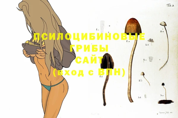 крисы Белоозёрский